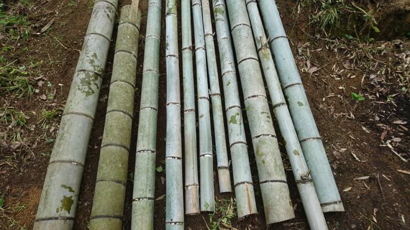 竹の乾燥